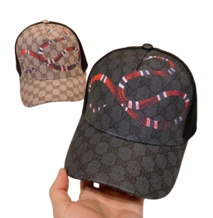 Gucci Hat（40 Variants）